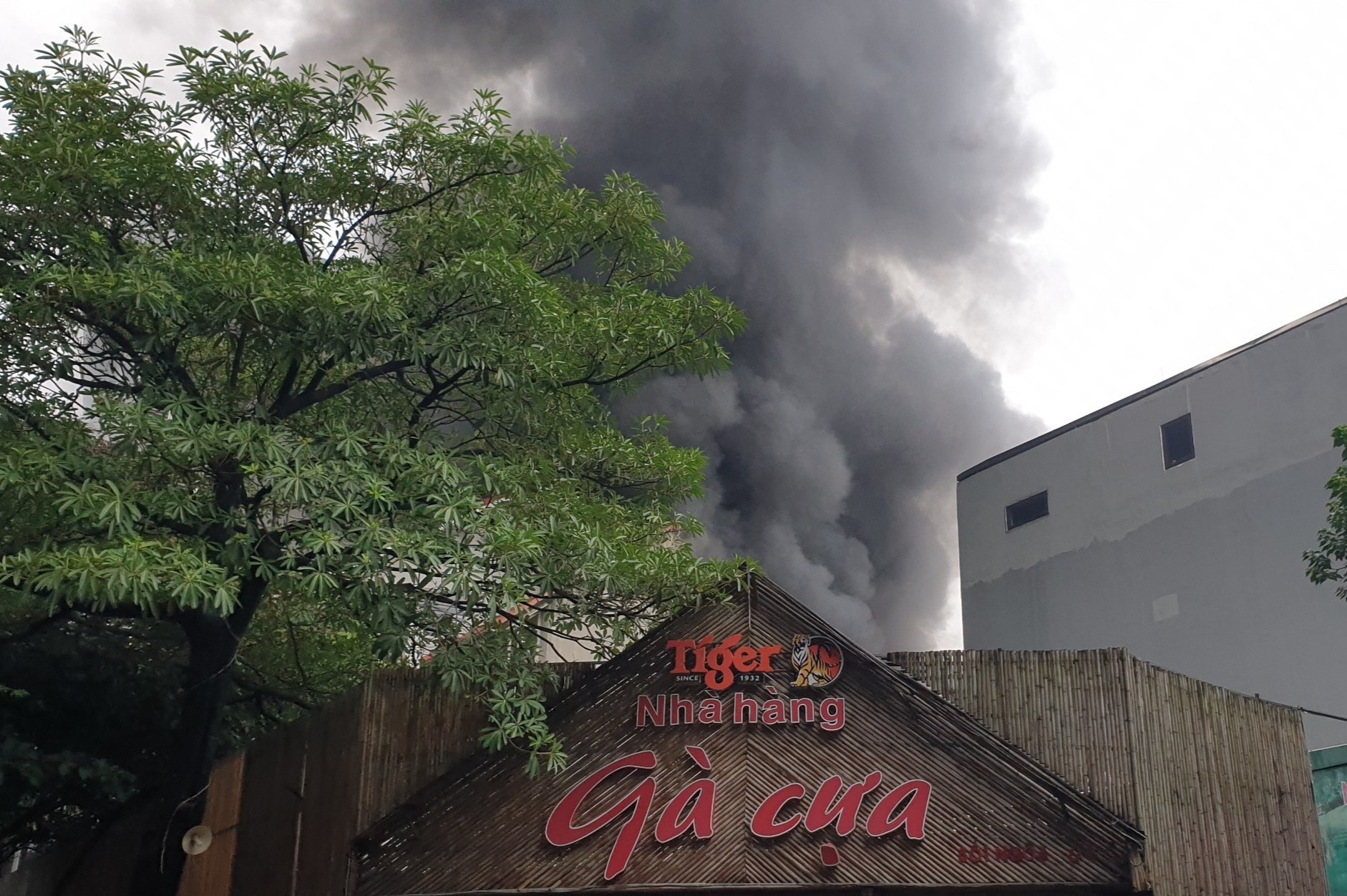 Chay quan lau o Ha Noi hinh anh