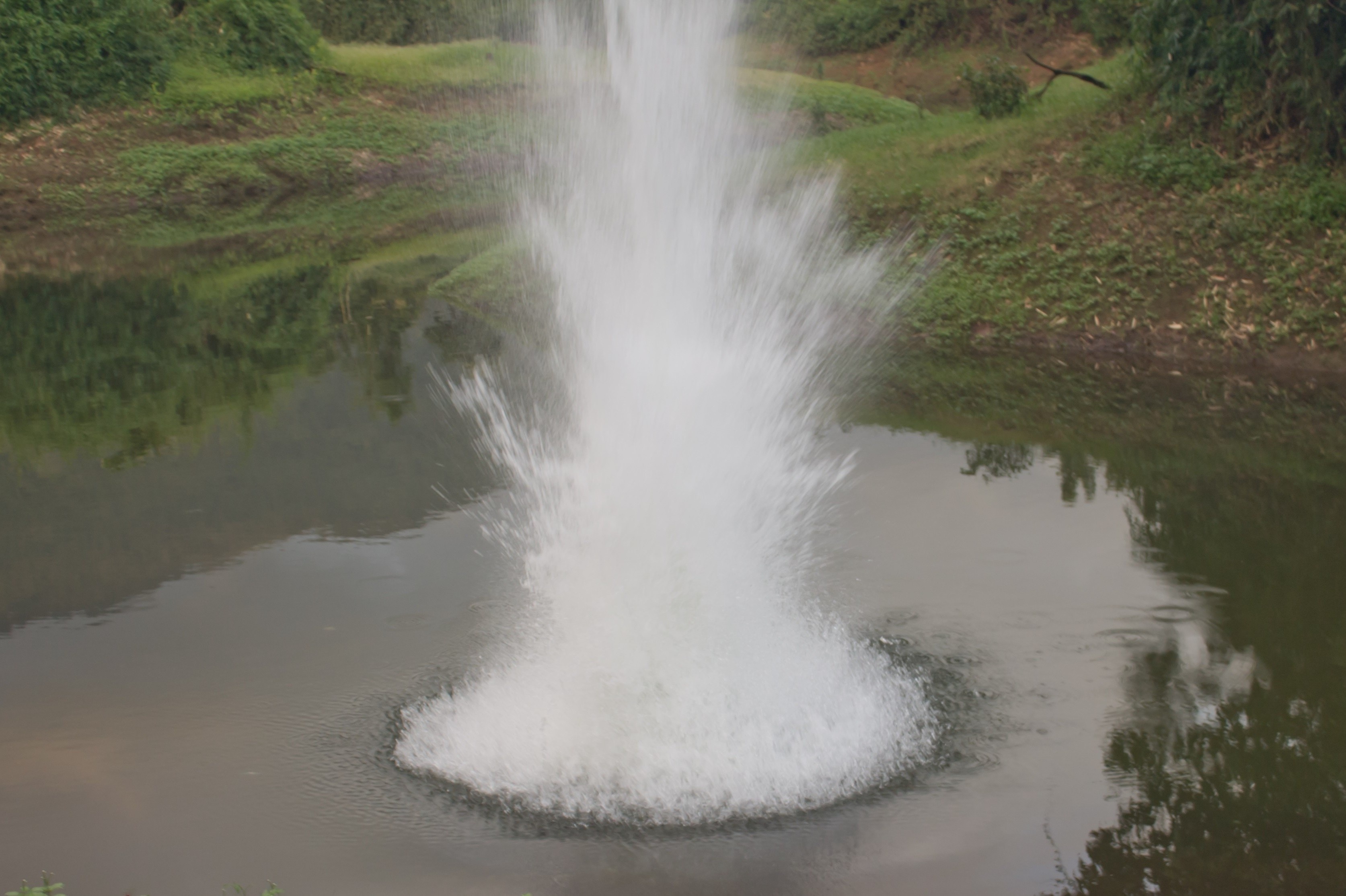 Dung thuoc no danh ca, 2 nguoi trong thuong hinh anh