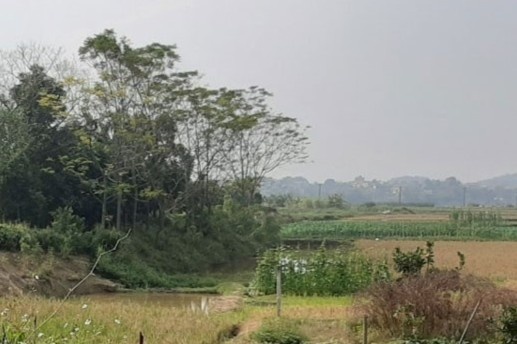 Doi nam nu tu vong giua canh dong hinh anh