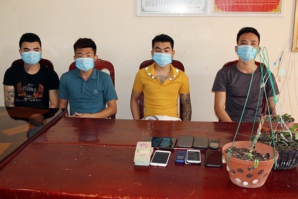 bán lan đột biến giả ảnh 1 ban lan dot bien gia anh 1