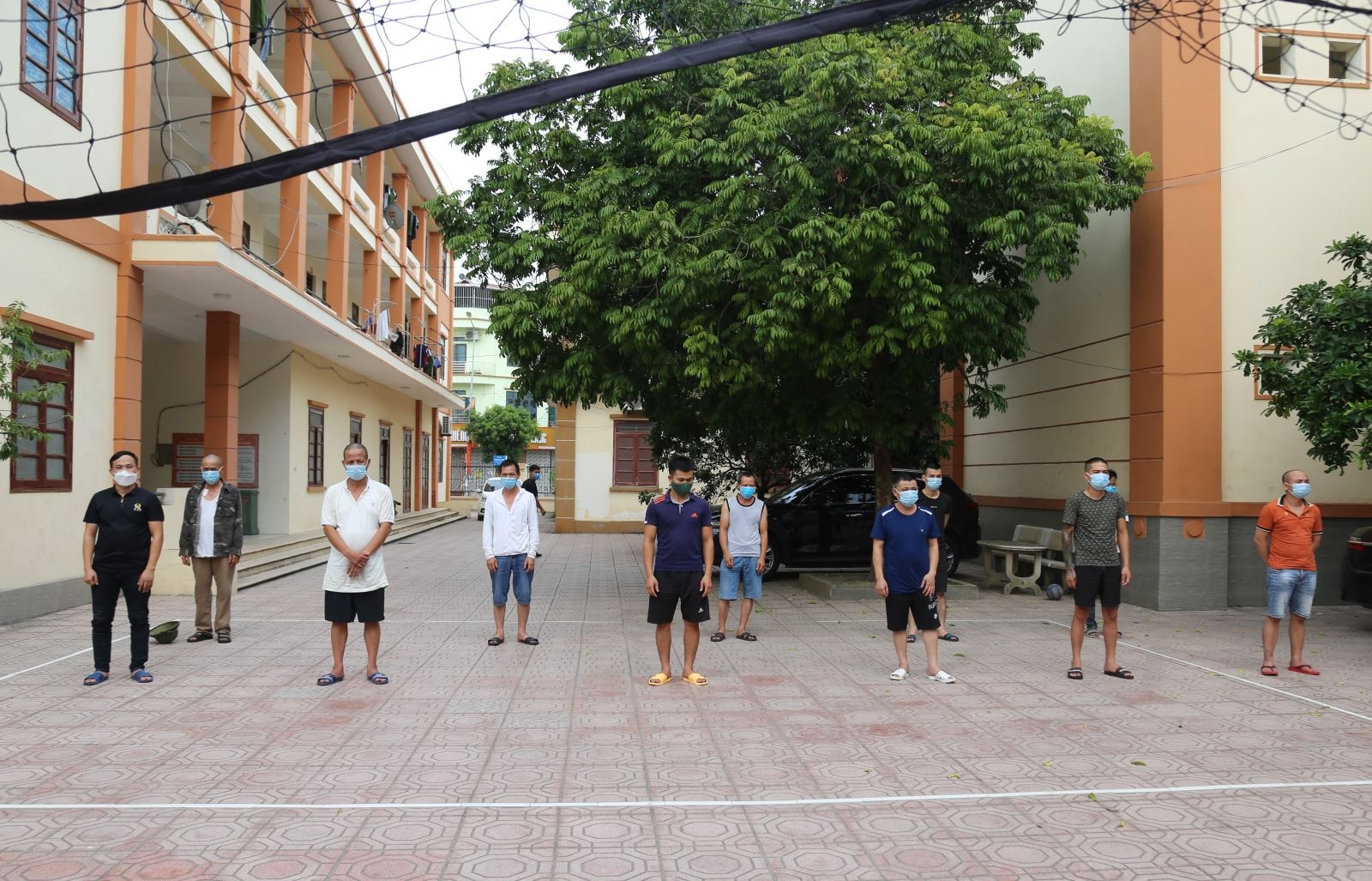 11 con bac sat phat giua mua dich anh 1