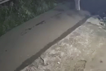 Tai xe oto co tinh tong nhom nguoi di bo hinh anh