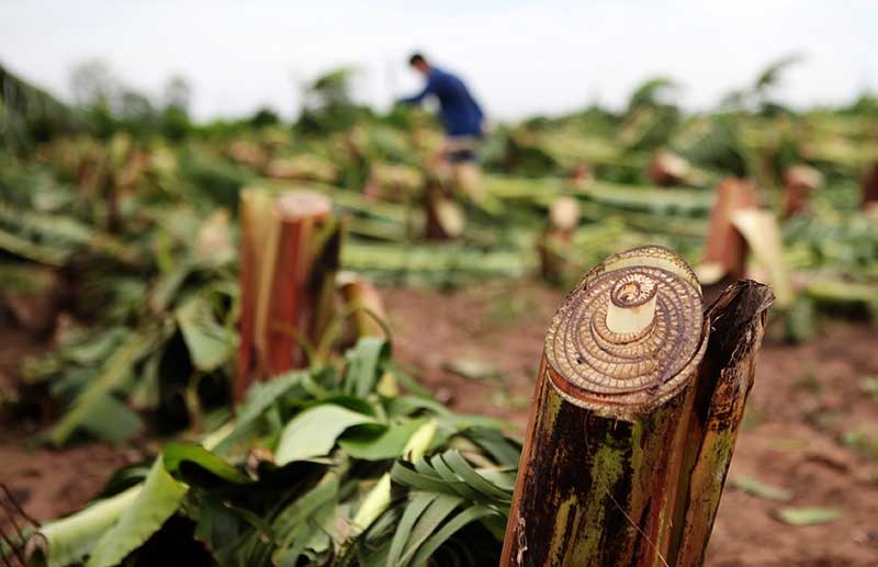Vi sao nguoi dan bi thiet hai sau bao chi duoc ho tro 2.000 dong? hinh anh