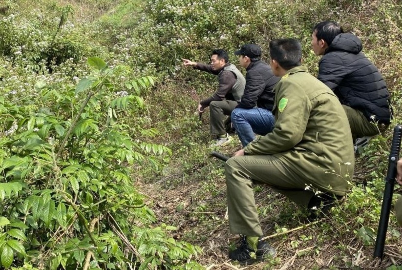Khep vong vay truy bat nghi pham buon ma tuy ban tra luc luong cong an hinh anh