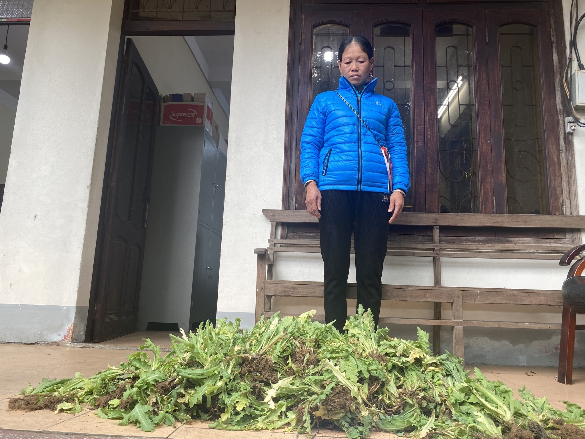 Nguoi phu nu trong 440 cay thuoc phien hinh anh