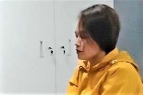 Nguoi phu nu bi cao buoc dung dao gay an mang hinh anh