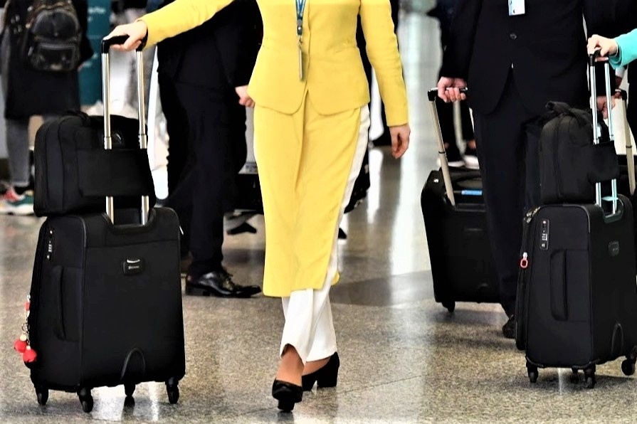 Tiep vien hang khong co duoc mien soi chieu hanh ly? hinh anh