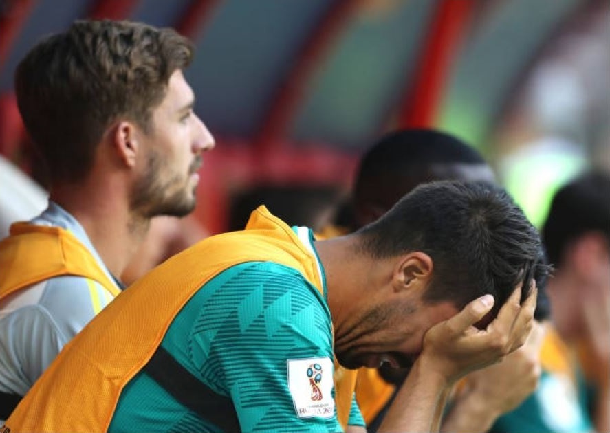 HLV, cau thu va CDV Duc cui dau tam biet World Cup 2018 hinh anh