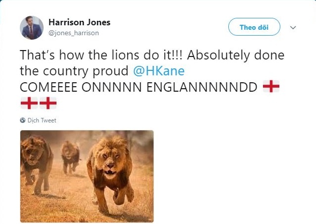 Harry Kane - nguoi anh hung moi cua nuoc Anh anh 7