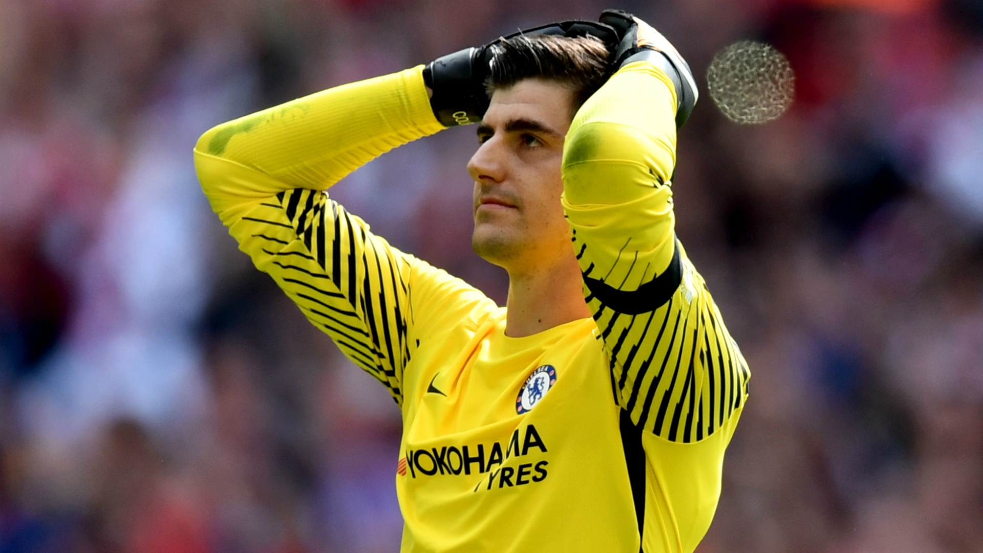 Thibaut Courtois hung tron con thinh no tu CDV Chelsea hinh anh