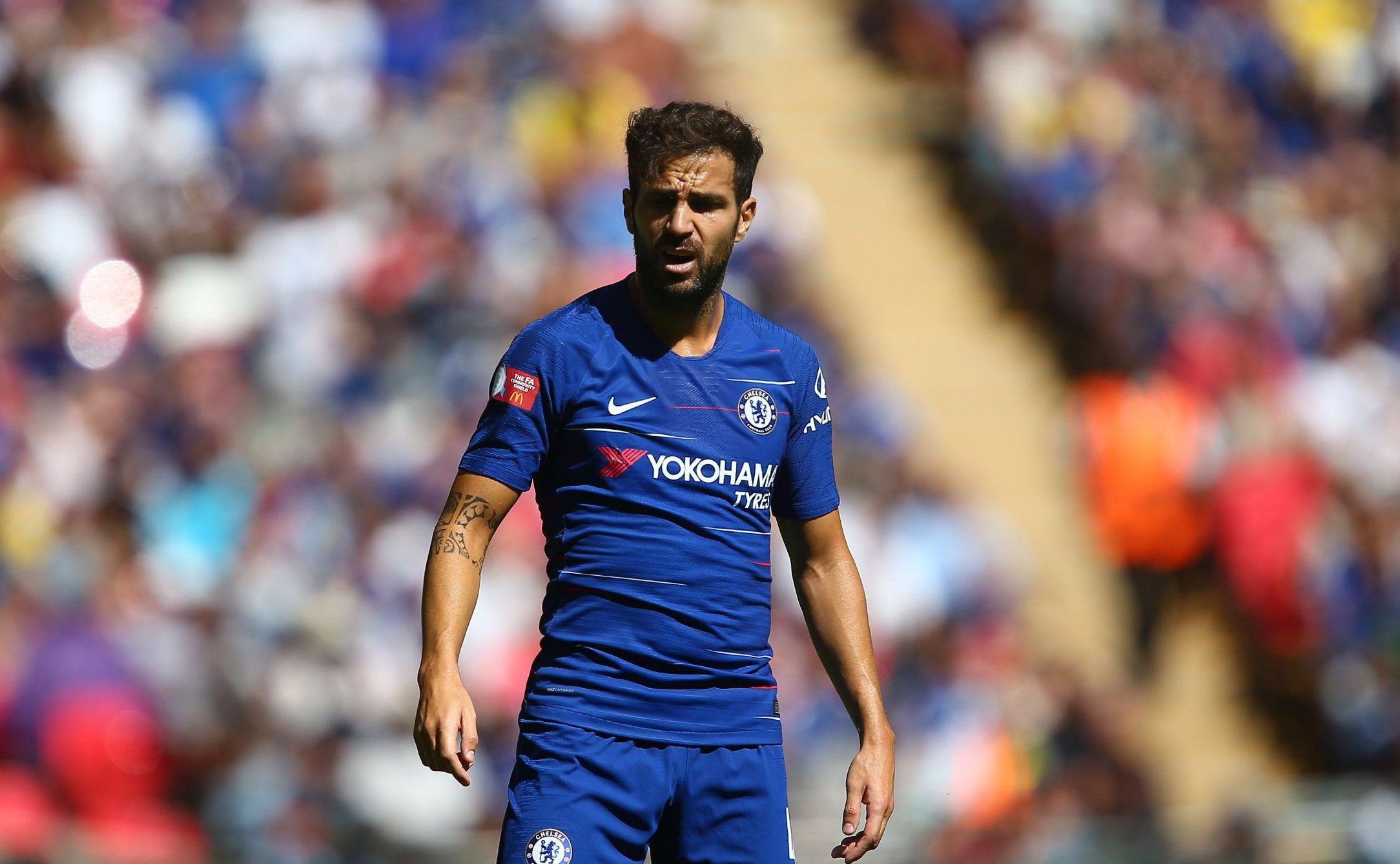 Fabregas,  Godin va ngoi sao co the ra di theo dang tu do o he 2019 anh 6