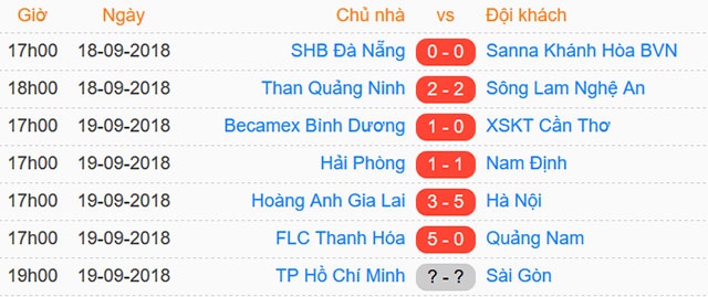 HAGL vs CLB Ha Noi anh 2