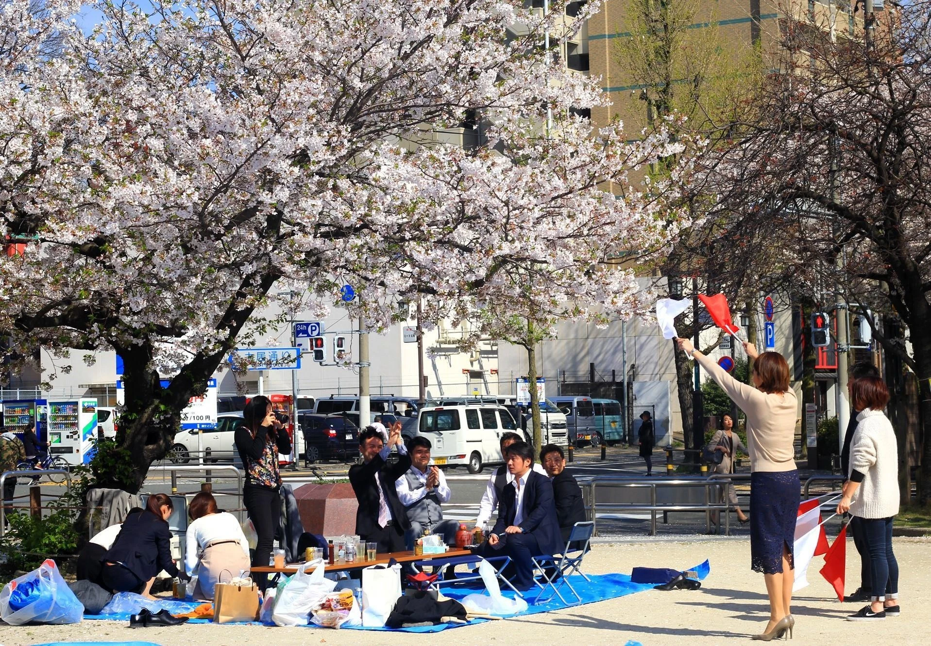 Hoa anh dao,  nganh kinh doanh ‘ty do’ cua Nhat Ban anh 3