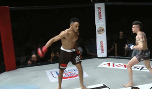 Vo si MMA vua danh vua nhay va cai ket bat ngo cho ke ngao man hinh anh