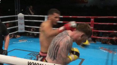 Vo si ha knock-out doi thu nho cu vung tay hinh anh