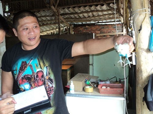 Bo pho len rung nuoi ga 9 cua ngan do hinh anh