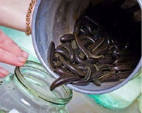 Chan moi thu mua dia hinh anh