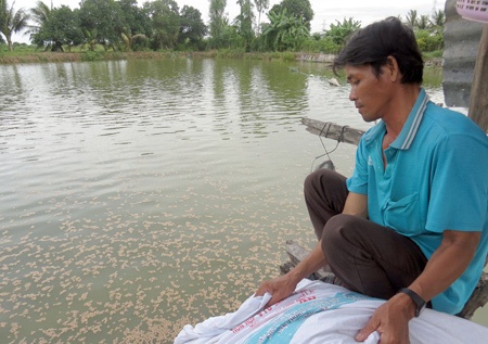 Nuoi ca 'sieu trong' ban qua Trung Quoc, nong dan dieu dung hinh anh