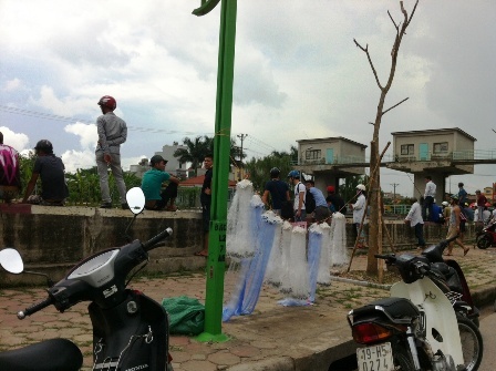 Người Hà Nội tranh nhau mua cá sông Tô Lịch rẻ như cho