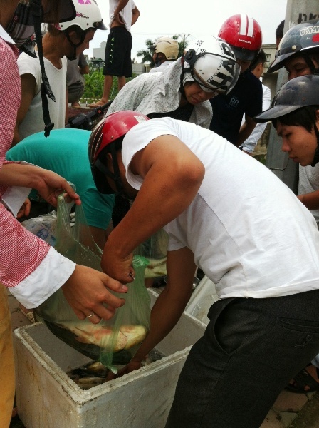 Người Hà Nội tranh nhau mua cá sông Tô Lịch rẻ như cho