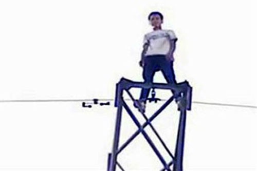 Chet vi to tinh kieu moi hinh anh