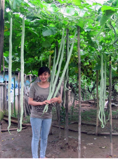 Trai muop dang dai bang nguoi lon o Bac Lieu hinh anh
