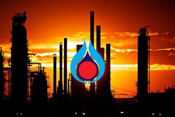 Chan dung ong lon dau tu du an loc hoa dau Binh Dinh hinh anh