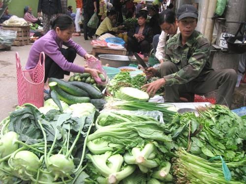 Rau xanh tang gia bat thuong hinh anh