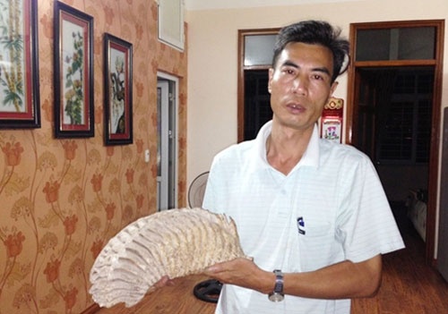 Nhung nguoi Viet thich om 'da' che trieu do hinh anh