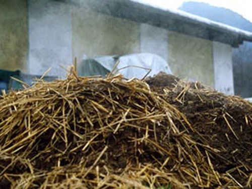 Bi vo bo, canh sat tra thu bang chieu doc hinh anh