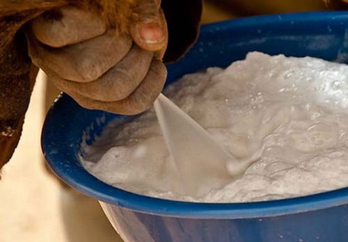 Dich vu giao sua tuoi tan nha: O vi trung trong thung sua hinh anh