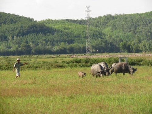 Nong dan tra ruong vi dat it, phi cao hinh anh