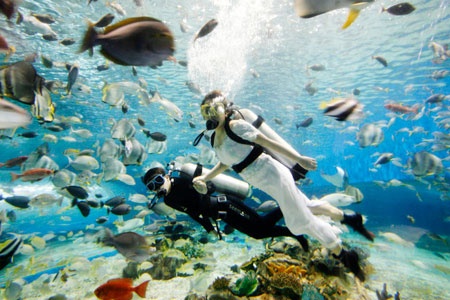 Nhung dam cuoi sieu la doi hinh anh