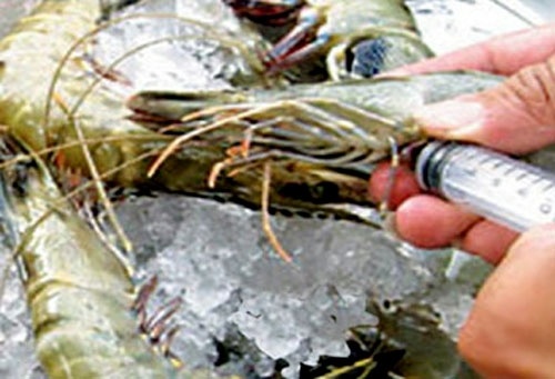 Nhung chieu ban tron dat, da vao thuc pham cua gian thuong hinh anh