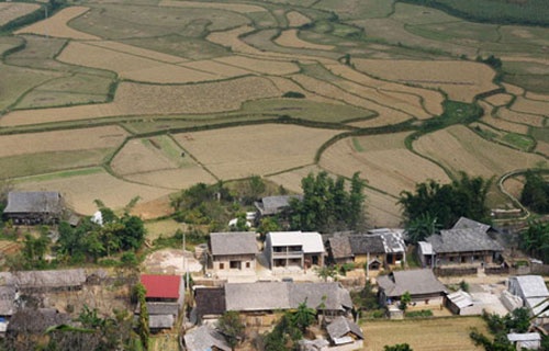 Ban ty phu giua rung Tay Bac hinh anh