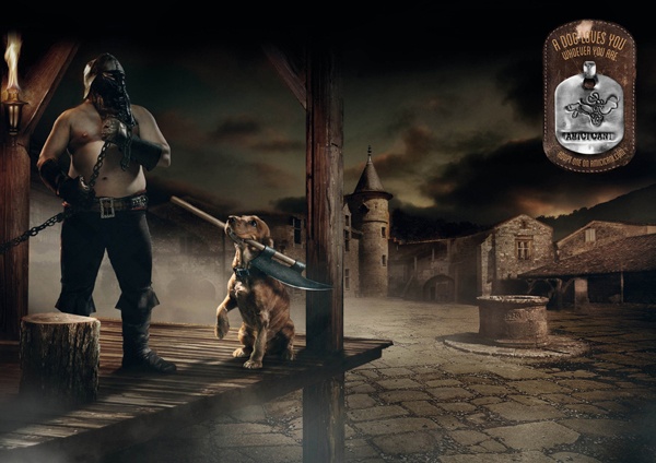 Nhung quang cao nhan nuoi thu cung de thuong nhat hinh anh