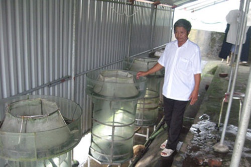 Trang trai thuy san 'vang' vung chiem trung hinh anh