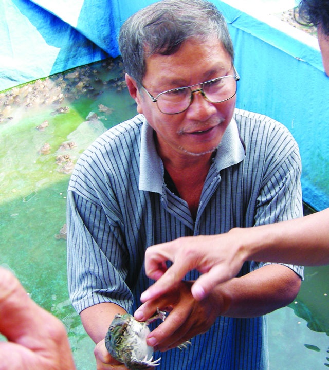 Kiem hon 100 trieu moi nam nho ech Thai Lan hinh anh