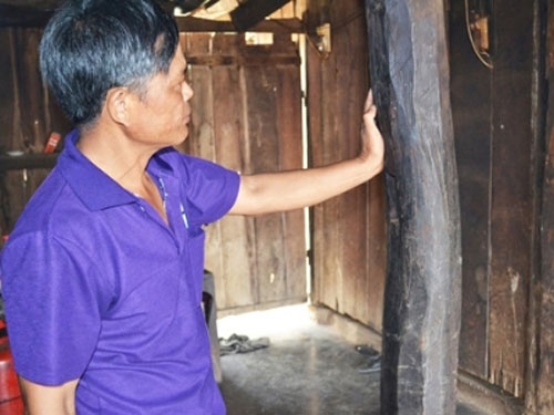 Do nha lay go trac ban qua Trung Quoc hinh anh