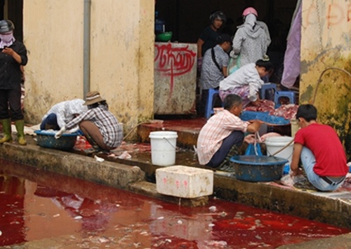 Kinh hoang long lon duoc lam sach bang... ung hinh anh