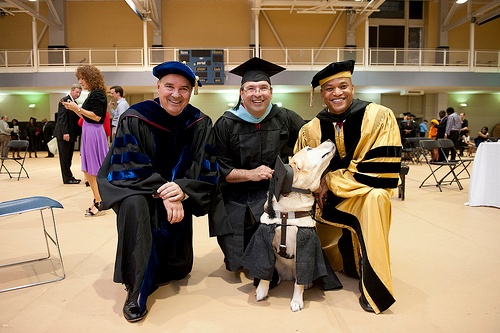 Cho nhan bang thac si cua chinh phu My hinh anh