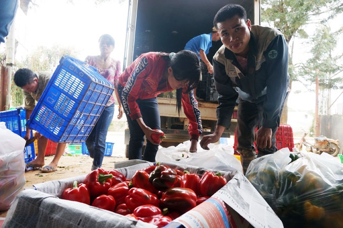 Ho bien hang cho thanh rau an toan hinh anh