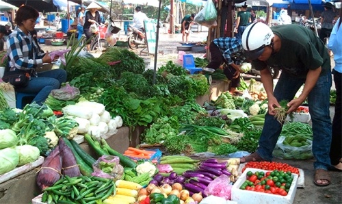 Rau dat do, nguoi dan 'nham mat' an hang Trung Quoc hinh anh