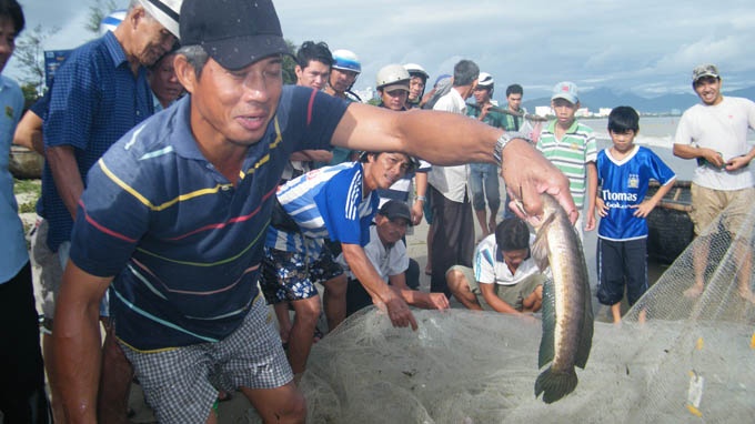Sau bao, ngu dan Da Nang keo nhau ra bien bat ca… nuoc ngot hinh anh