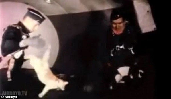 Xem chim bay lon nguoc trong vu tru hinh anh