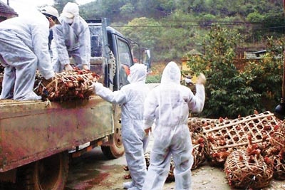 Xay nha sang, xai hang xin nho buon gia cam ban hinh anh