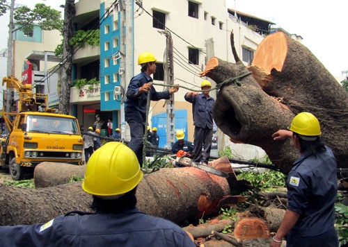 Thanh tra toan dien 4 cong ty sep luong khung hinh anh
