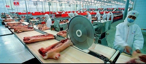 Hinh anh dang so ve 'do tham an' cua con nguoi hinh anh