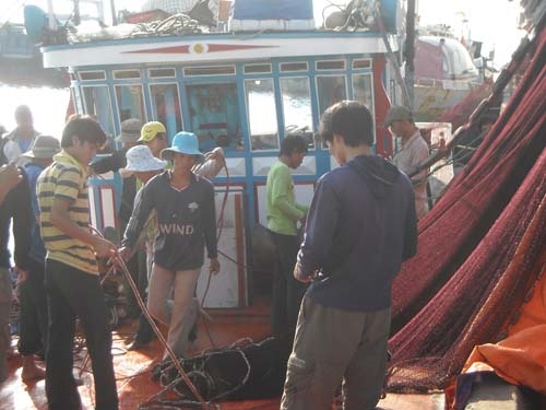 Nhieu tau ca Ly Son kiem 5-7 ty trong mua bien 2013 hinh anh