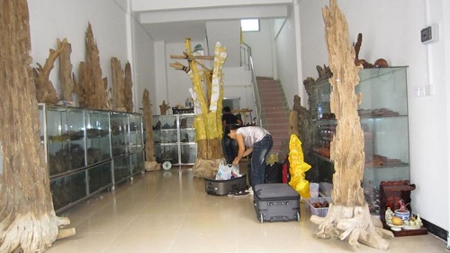 Dai gia dung tram huong chieu tai dan loc hinh anh